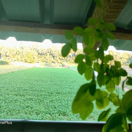 Ocean Sparrow Beach Stay جوكارنا الغرفة الصورة