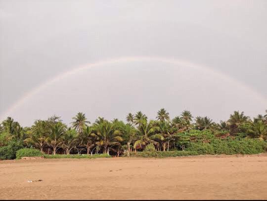 Ocean Sparrow Beach Stay جوكارنا الغرفة الصورة